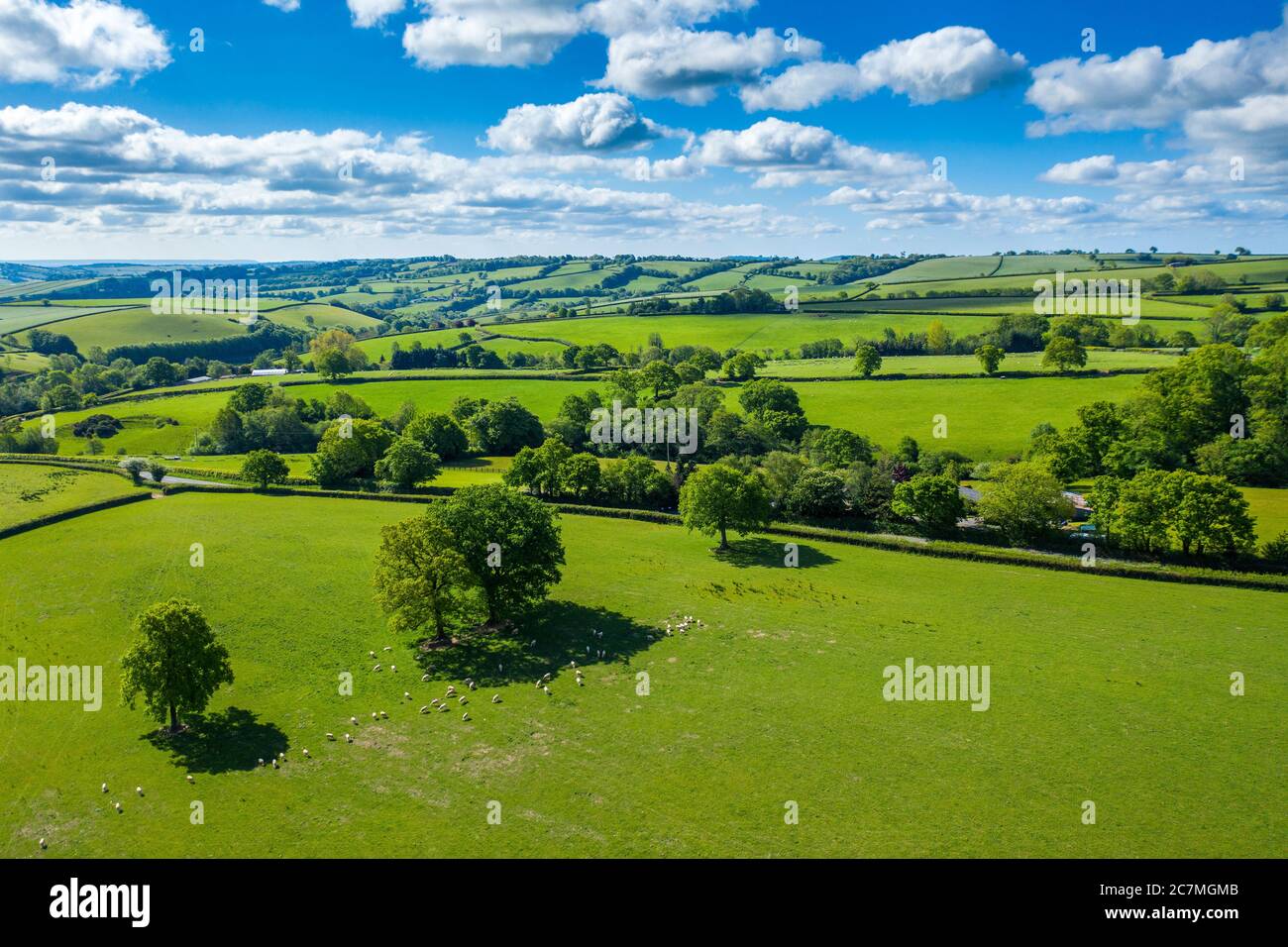 Primavera nel Devon vicino a Tiverton, Devon, Inghilterra, Regno Unito, Europa Foto Stock