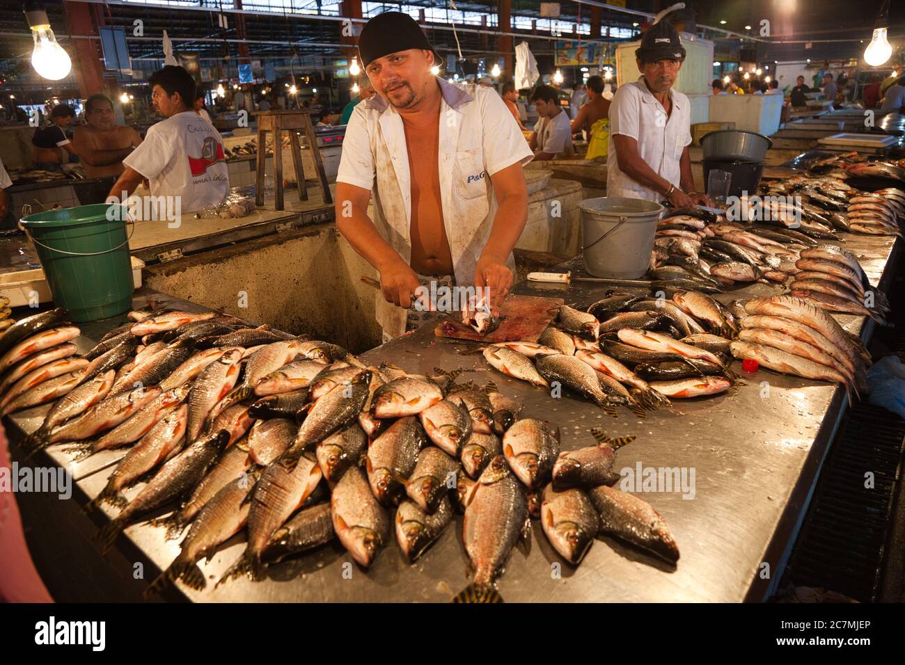Uomo al suo stand di pesce al mercato del pesce con esposizione di pesce pescato localmente tutto intorno, in Manaus, Amazonas Stato, Brasile Foto Stock