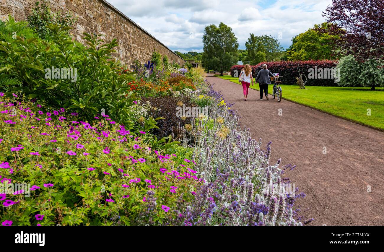 Due donne camminano sul sentiero passando il colorato confine dei fiori erbacei, Amisfield Walled Garden, Haddington, East Lothian, Scozia, Regno Unito Foto Stock