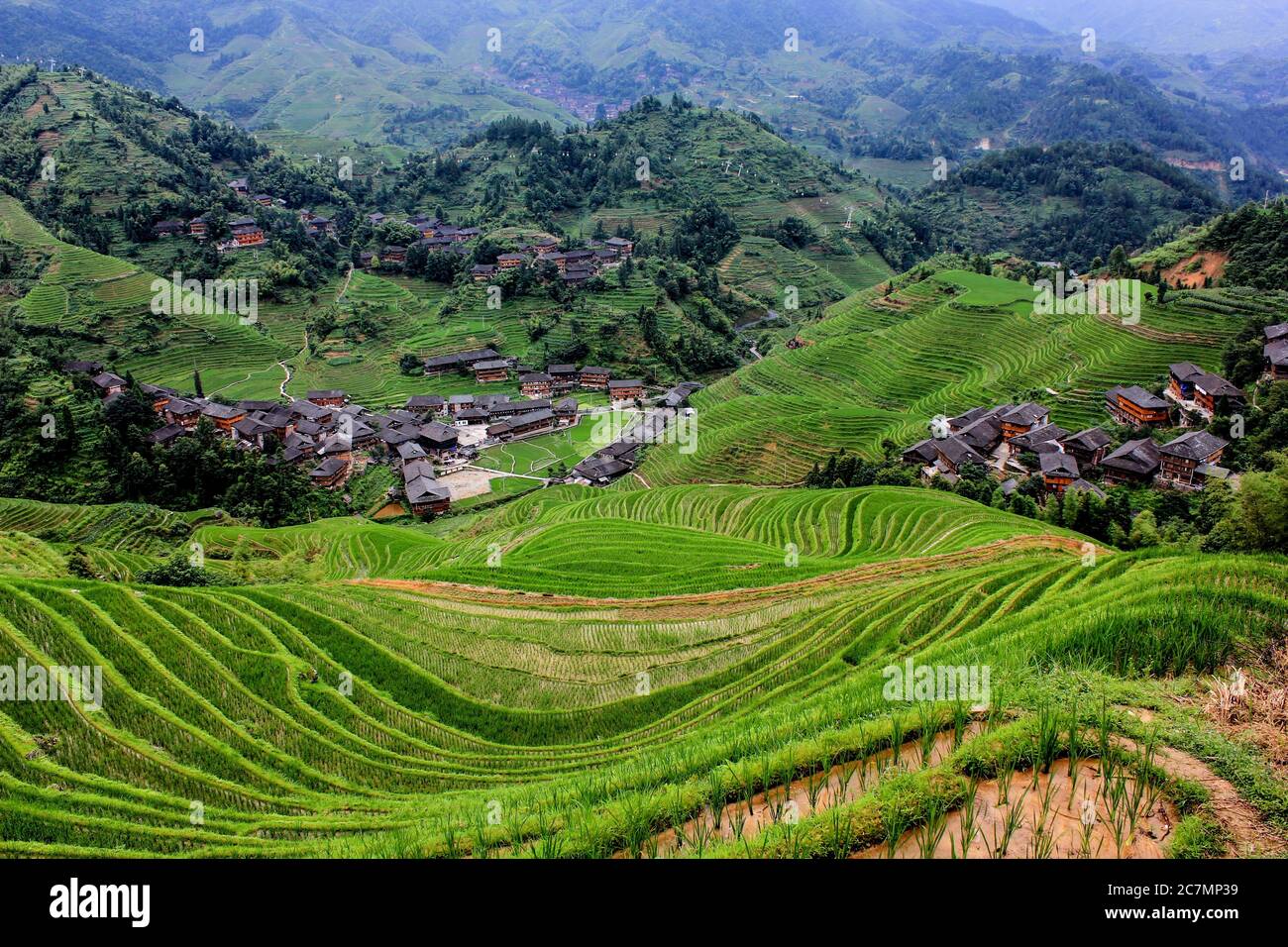 Dragon's Backbone Rice Terraces nel villaggio di Dazhai, Longsheng County, Cina Foto Stock