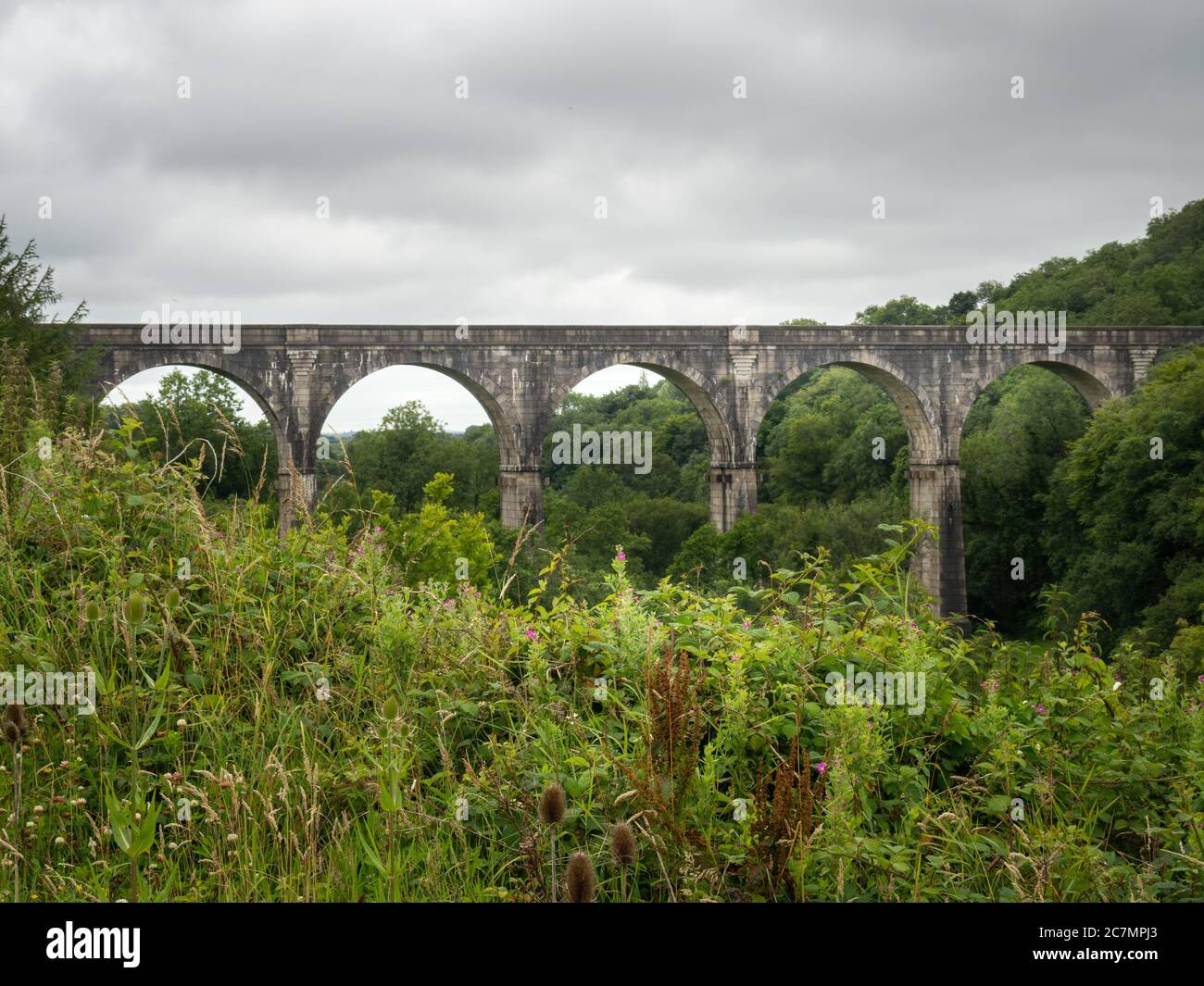 Holsworthy, viadotto ferroviario di Derriton. Vista orizzontale. Devon, Regno Unito. Foto Stock