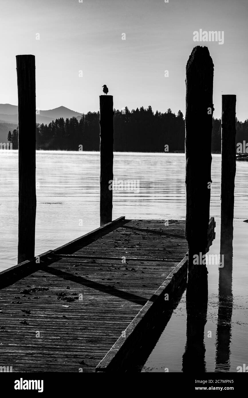 Lago Chatcolet, parco statale di Heyburn, Idaho Foto Stock