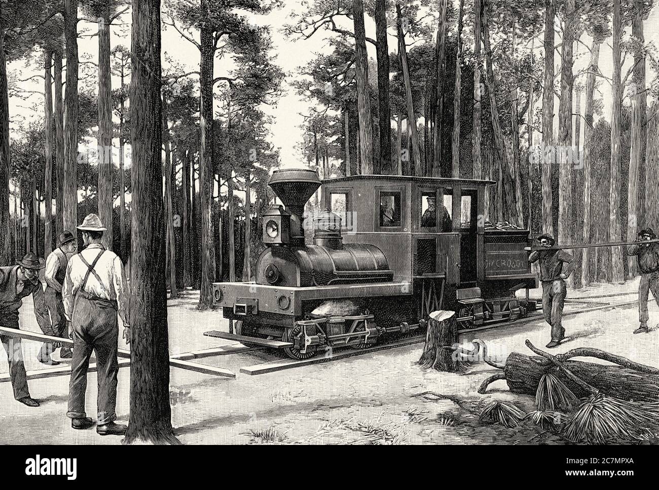 Costruzione di una superstrada in legno per il passaggio dei treni in Florida, Stati Uniti. Da la Ilustracion Española y americana 1895 Foto Stock