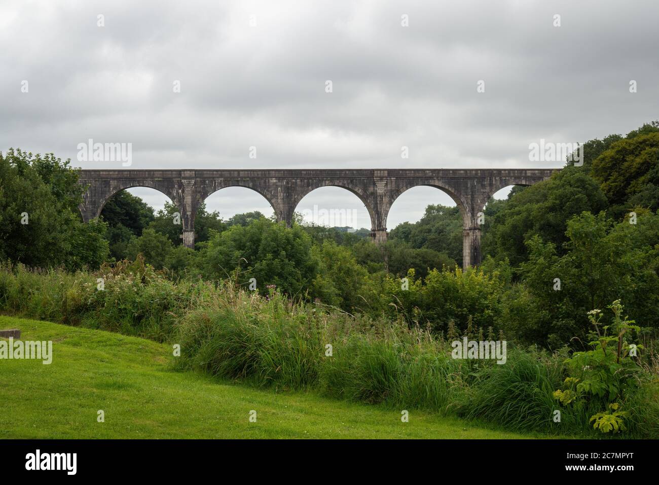 Holsworthy, viadotto ferroviario di Derriton. Ampia vista panoramica. Devon, Regno Unito. Foto Stock