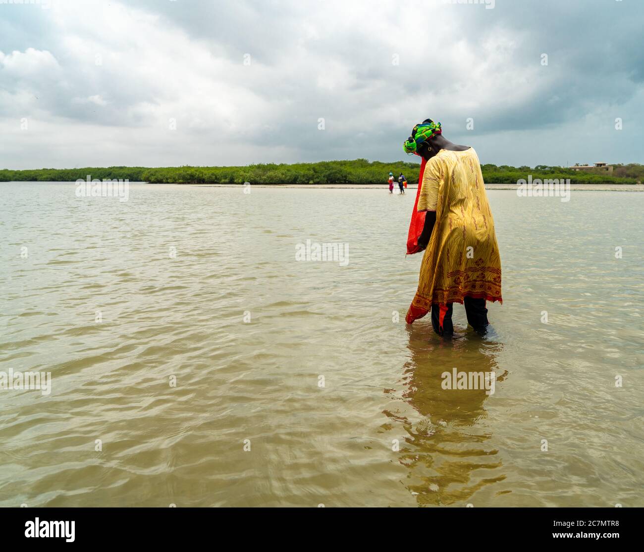 Donna senegalese che raccoglie cozze e clam, la più importante risorsa di reddito per la popolazione locale, Senegal, Africa occidentale Foto Stock