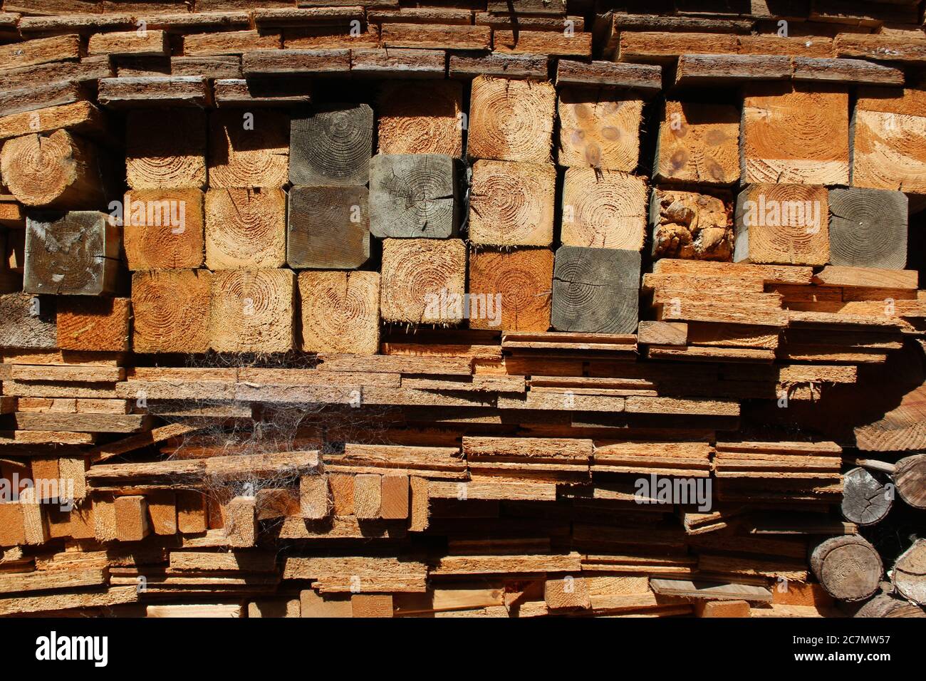 Un mucchio di legno trattato destinato a servire da legna / materiale da ardere Foto Stock