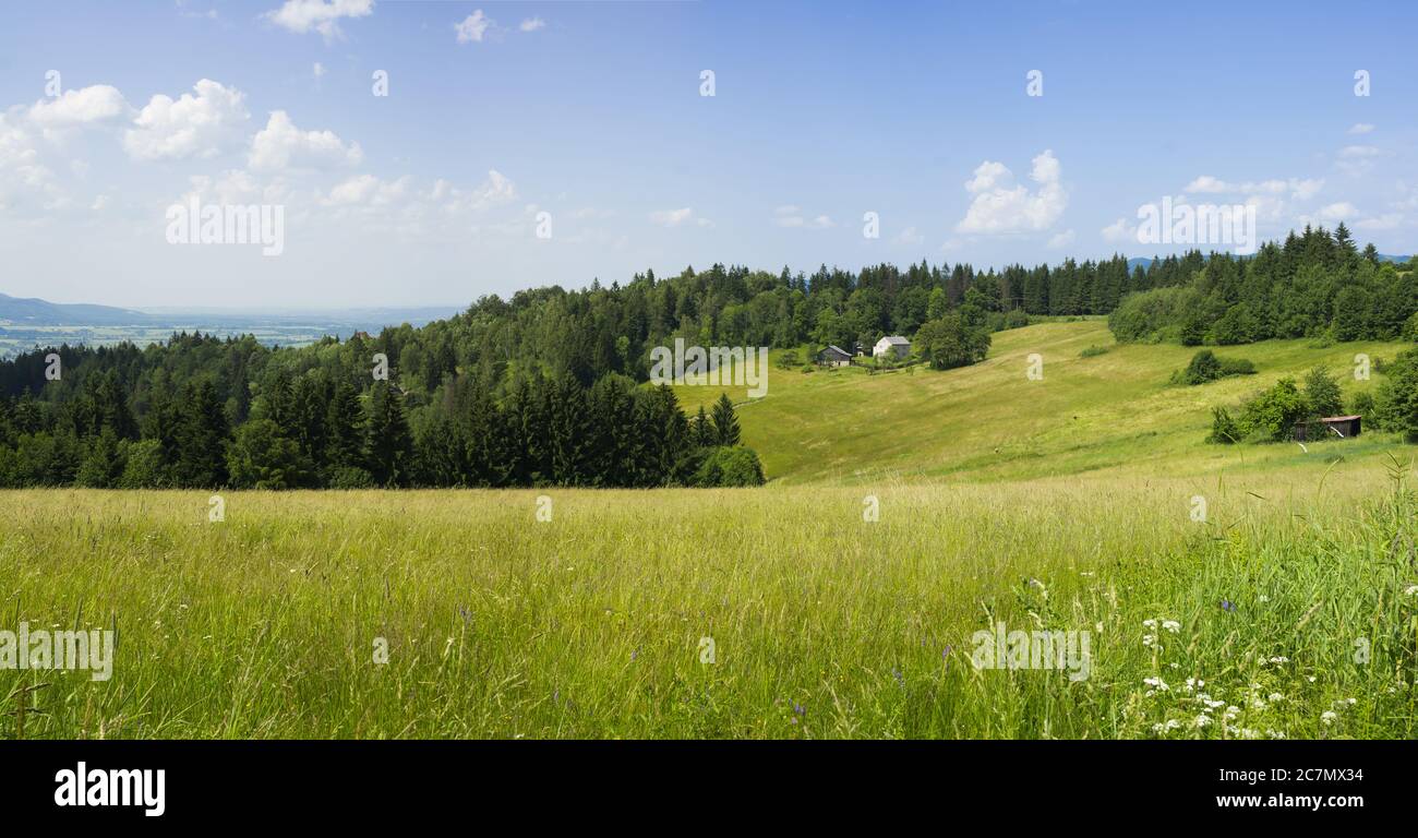 Campagna in Beskid Montagne, Repubblica Ceca / Czechia - panorama con prato, conifere tress, colline e cottage Foto Stock