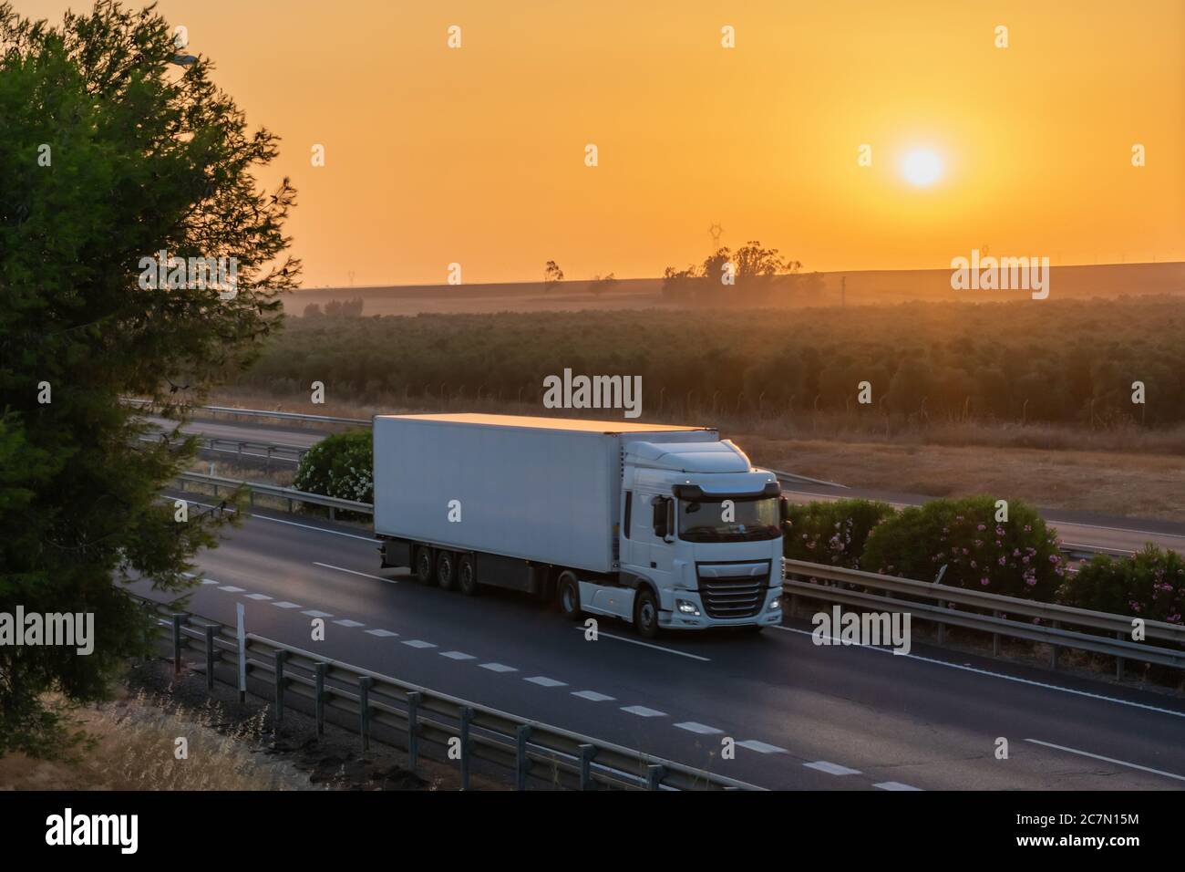Autocarro con semirimorchio refrigerato in autostrada Foto Stock