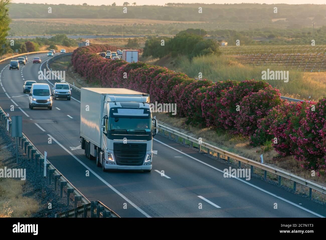 Autocarro con semirimorchio refrigerato in autostrada Foto Stock
