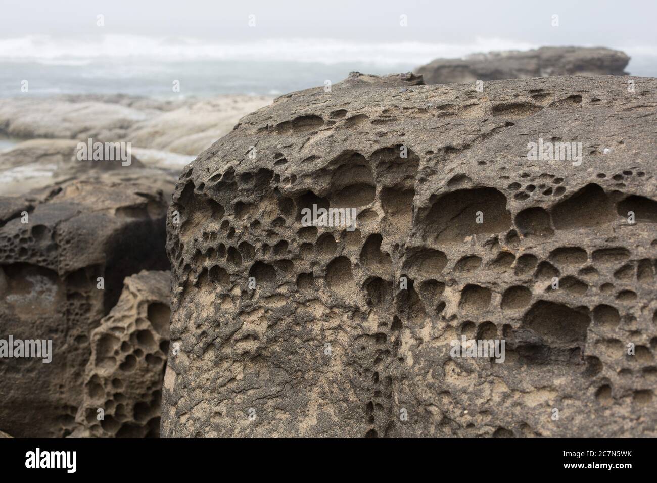 Tafoni rock sulla costa a Yachats, Oregon, USA. Foto Stock