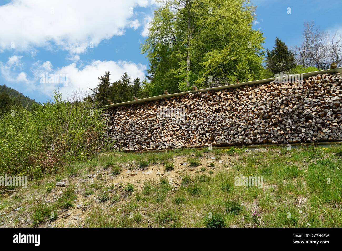 Tronchi di legna da ardere riforniti per l'inverno in un pendio ripido. Legno rifornito per uso privato di residenti in zone di alta montagna. Regione Engelberg Canton Obwaldo Foto Stock