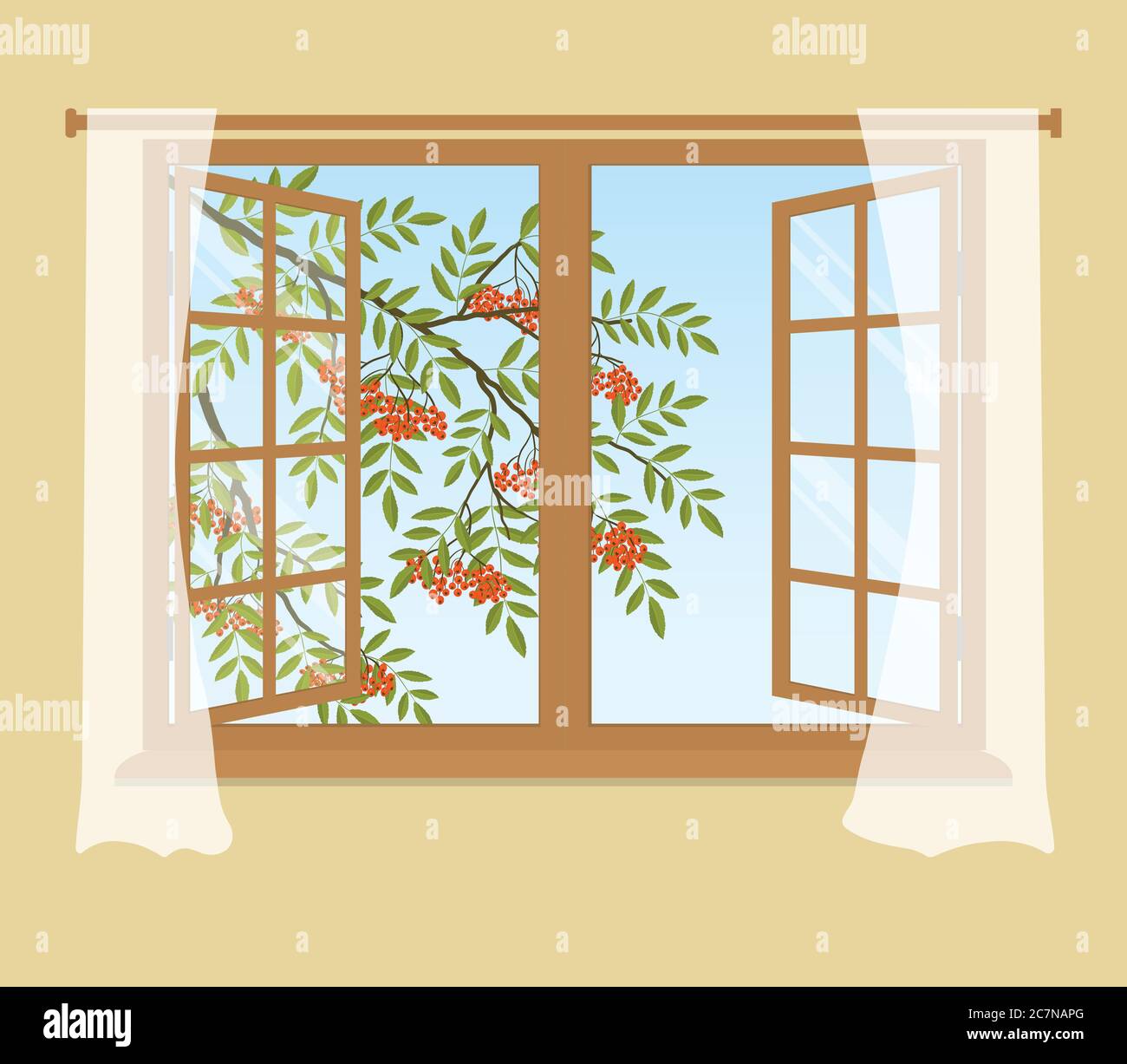 Ramo di Rowan fuori dalla finestra. Bacche di arancia con foglie verdi. Finestra aperta con tende su sfondo beige. Illustrazione vettoriale Illustrazione Vettoriale