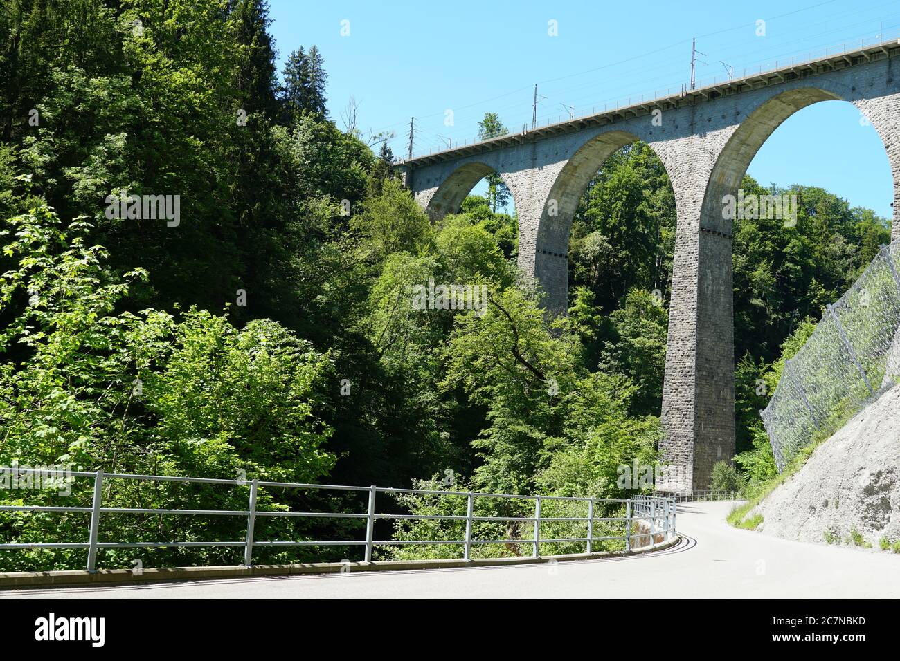 Ponte ferroviario Sitterviaduct in vista laterale dalla strada sulla valle e in prospettiva verso l'alto. Il ponte si trova su un sentiero escursionistico di San Gallo in Svizzera. Foto Stock