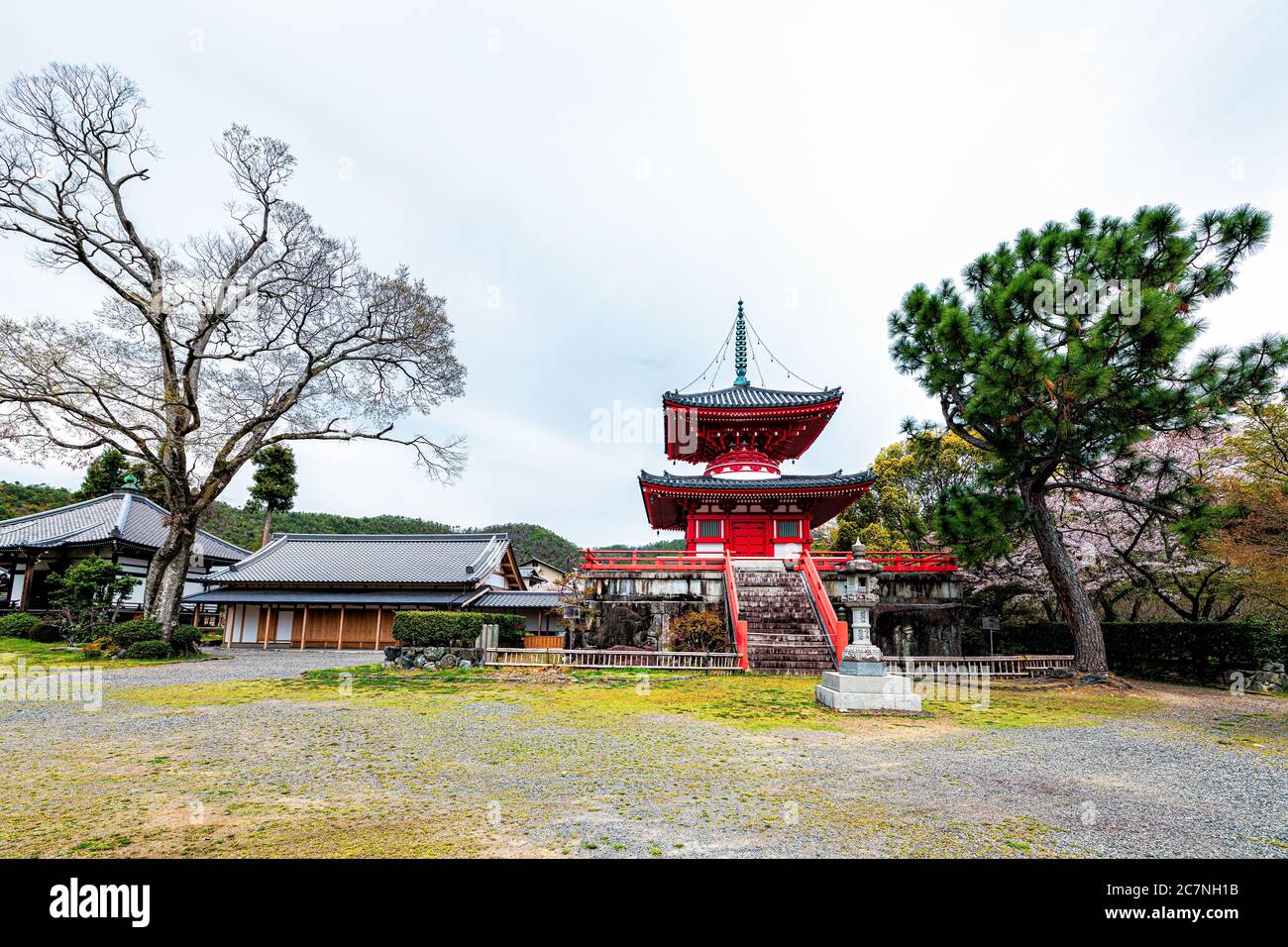 Kyoto, Giappone - 12 aprile 2019: Fiori di ciliegio alberi sakura in giardino parco terreni della Torre Shingyo-Hoto edificio pagoda nel tempio Daikakuji Foto Stock