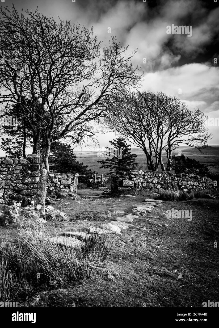 Muro di arenaria e alberi su Dartmoor Foto Stock