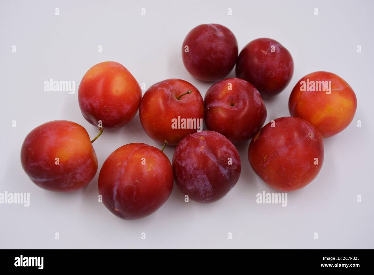 Rosso, ciliegia precoce varietà di ciliegia prugna, che cresce e cresce sul  territorio dell'Ucraina. Deliziosa frutta dolce estiva, fresca e sana Foto  stock - Alamy