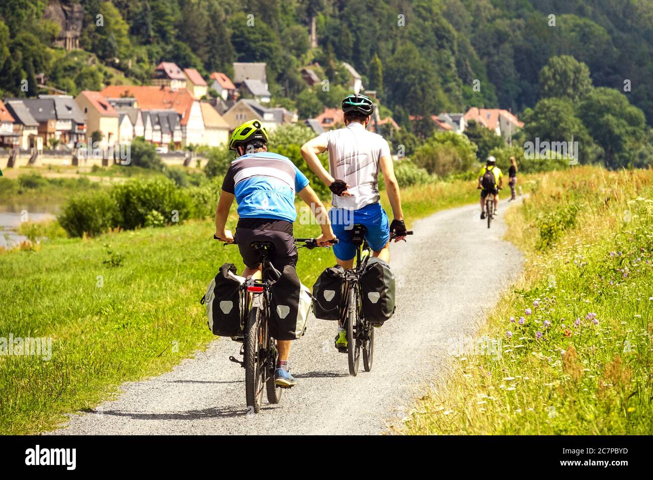 Ciclisti sull'Elberadweg, una pista ciclabile che attraversa una valle lungo il fiume Elba, ciclisti della Svizzera sassone Germania, pista ciclabile dell'Elba Foto Stock