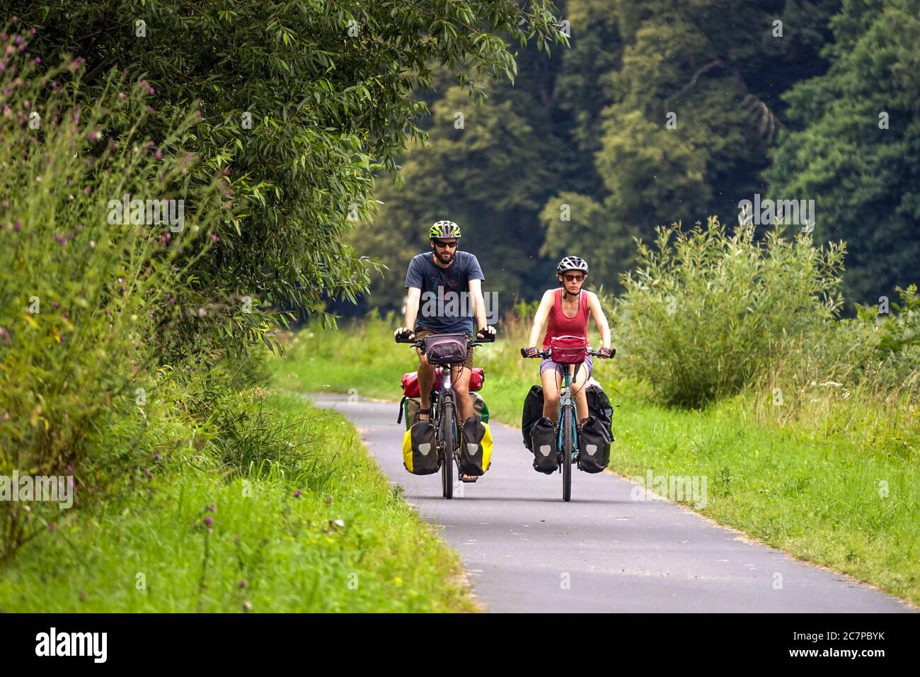 Persone, coppie in vacanza, in bicicletta sulla strada Elberadweg, una pista ciclabile che attraversa la valle dell'Elba, Sassonia Svizzera Germania Sassonia Foto Stock