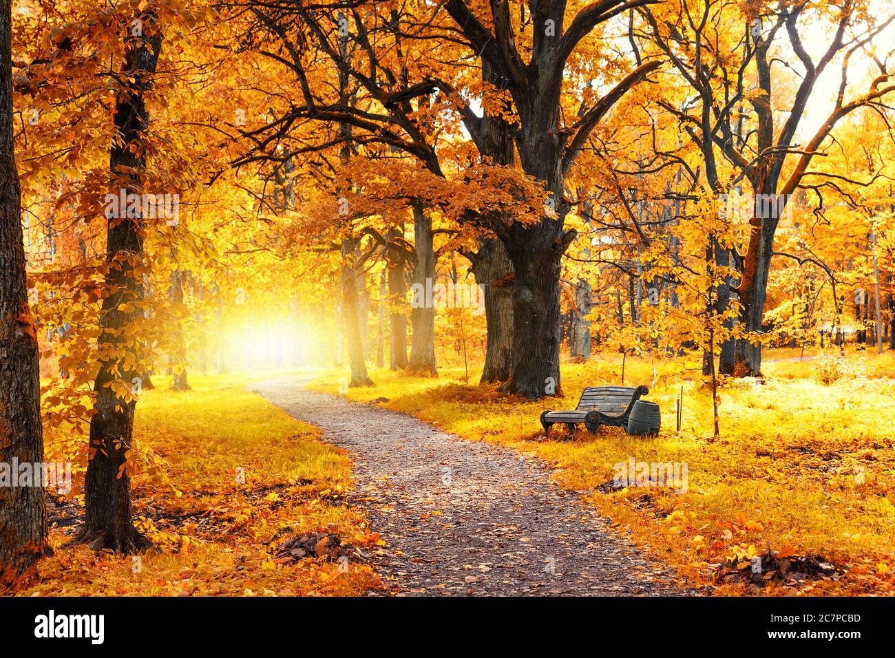 Vecchia panchina in legno nel parco autunnale sotto alberi colorati con foglie dorate Foto Stock