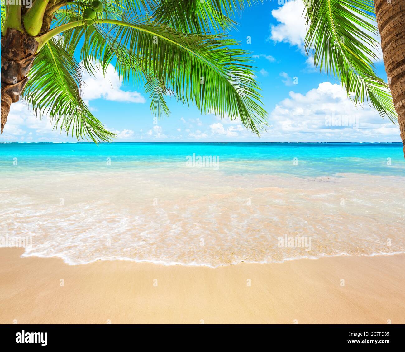 Palme da cocco contro il cielo blu e la bellissima spiaggia di Punta Cana, Repubblica Dominicana. Sfondo vacanze. Vista di un bel tropico Foto Stock