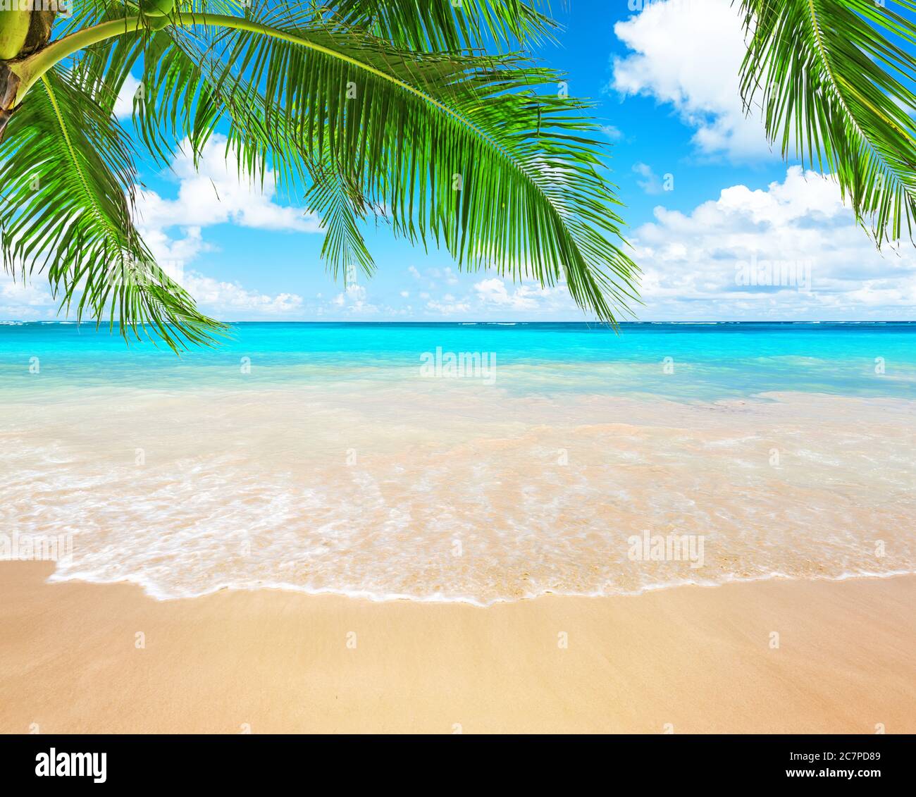 Palme da cocco contro il cielo blu e la bellissima spiaggia di Punta Cana, Repubblica Dominicana. Sfondo vacanze. Vista di un bel tropico Foto Stock
