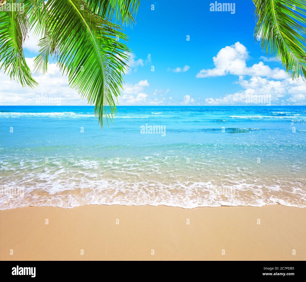 Palme da cocco contro il cielo blu e la bellissima spiaggia di Punta Cana, Repubblica Dominicana. Sfondo vacanze. Vista di un bel tropico Foto Stock