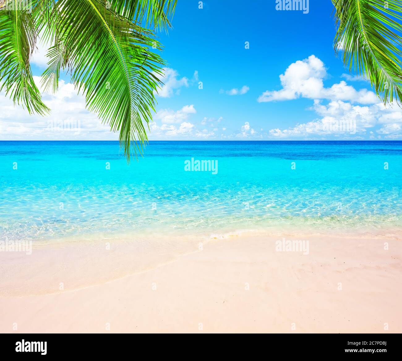 Palme da cocco contro il cielo blu e la bellissima spiaggia di Punta Cana, Repubblica Dominicana. Sfondo vacanze. Vista di un bel tropico Foto Stock