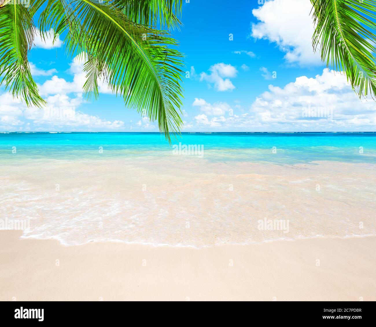 Palme da cocco contro il cielo blu e la bellissima spiaggia di Punta Cana, Repubblica Dominicana. Sfondo vacanze. Vista di un bel tropico Foto Stock