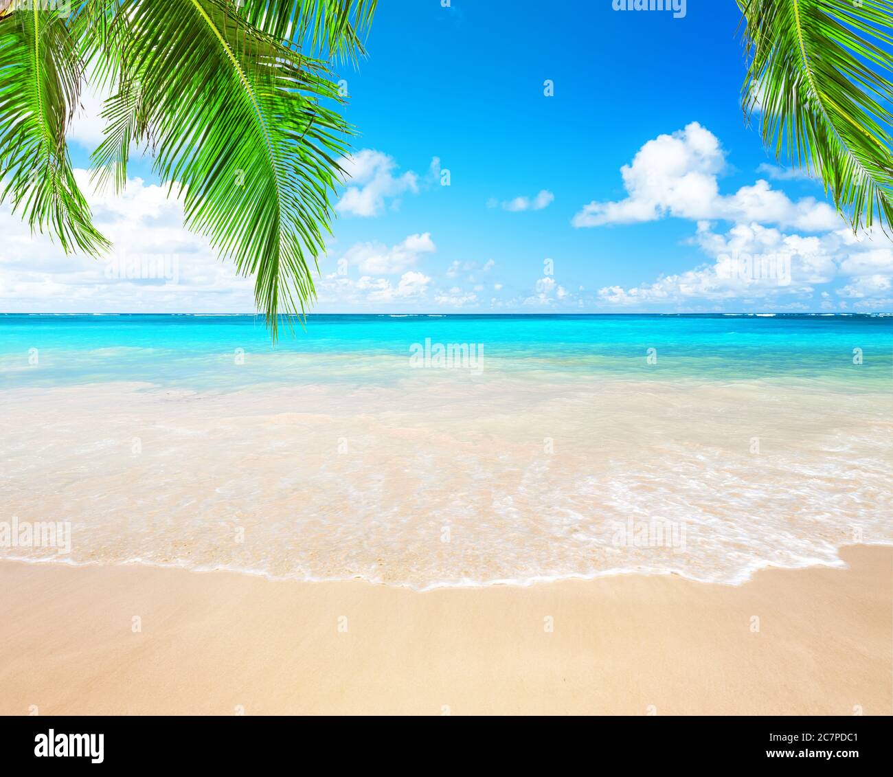 Palme da cocco contro il cielo blu e la bellissima spiaggia di Punta Cana, Repubblica Dominicana. Sfondo vacanze. Vista di un bel tropico Foto Stock
