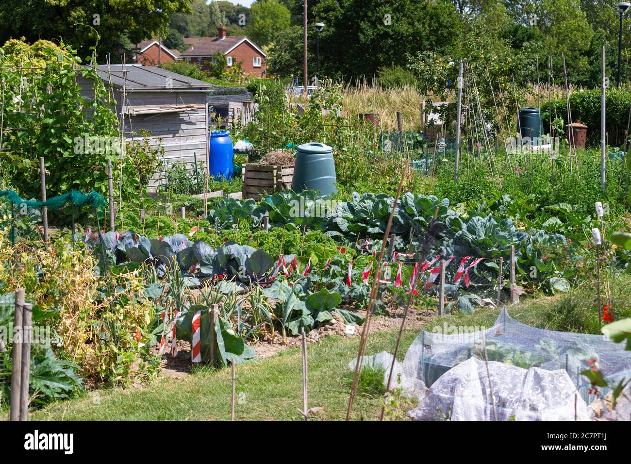 Capannone di assegnazione di verdure, hamstreet, kent, uk Foto Stock