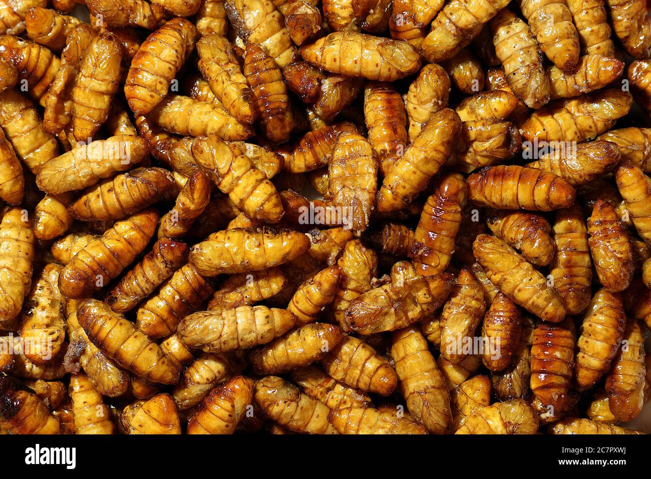 Il verme fritto viene cotto e posto su un piatto. Con un colore giallo dorato che sembra appetitoso. Foto Stock