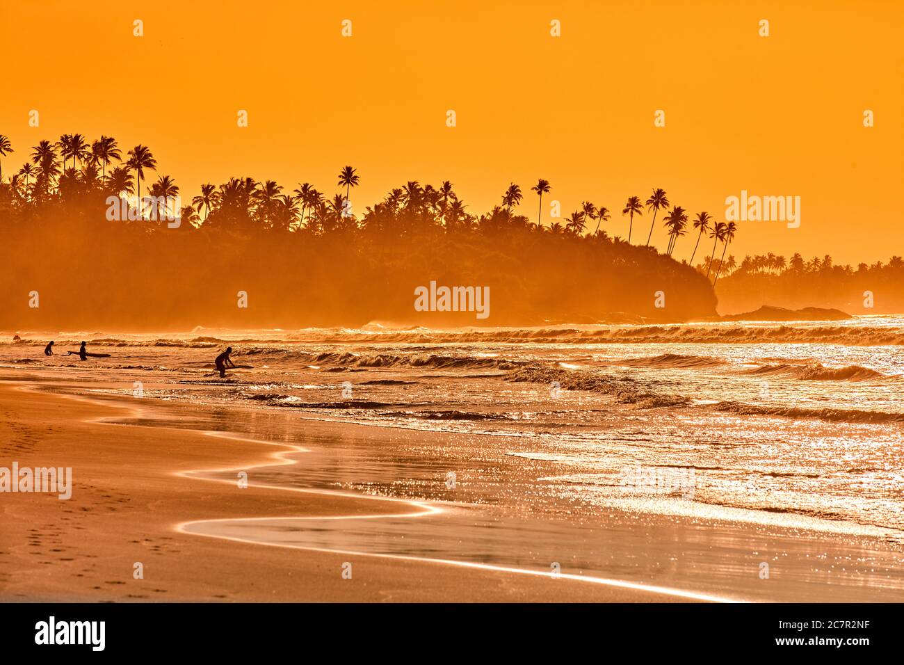 Praticante turistico surf sulla spiaggia di Lakshawaththa vicino Matara Sri Lanka sud antico Ceylon Foto Stock