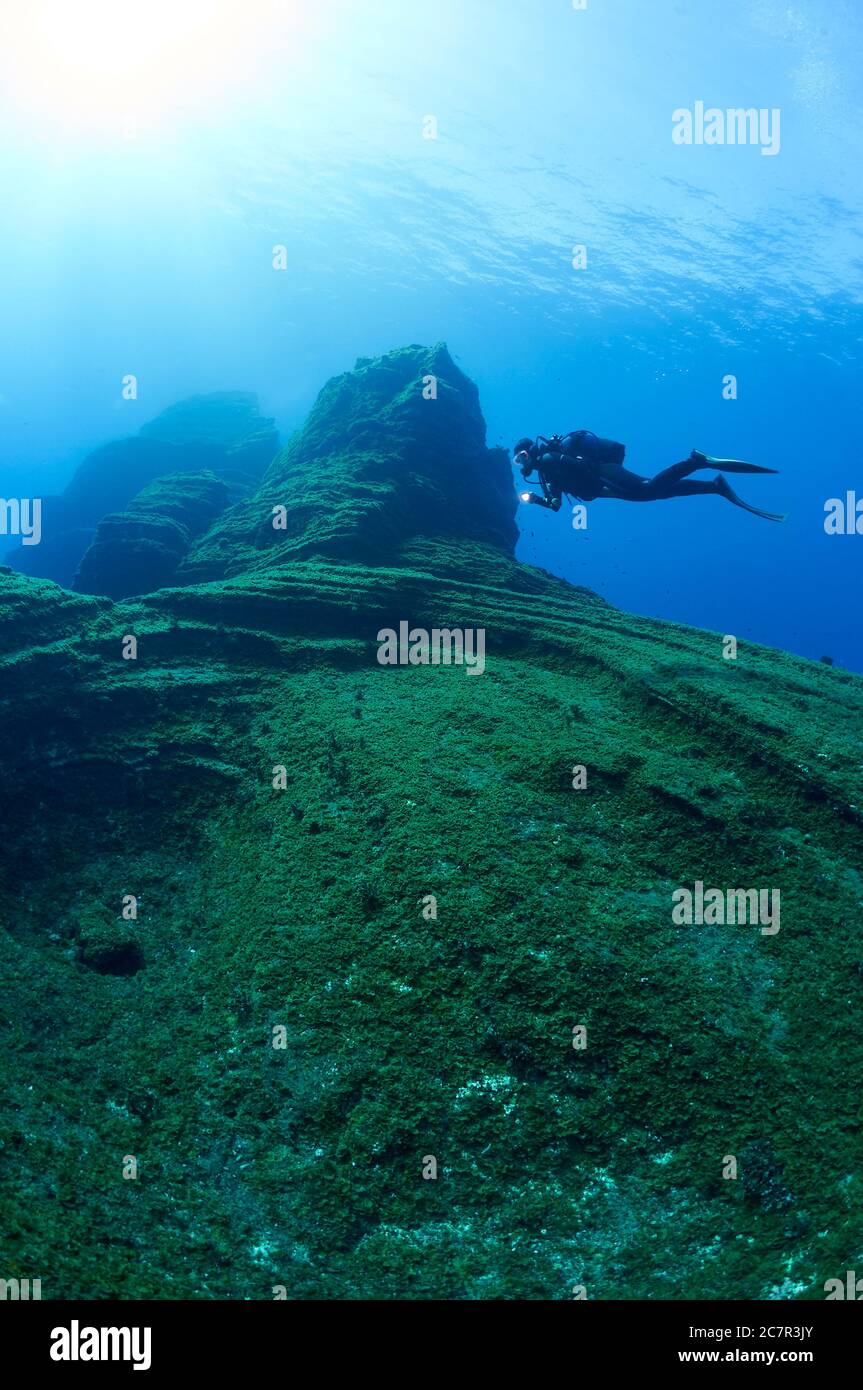 Immersioni subacquee presso il sito di immersione El Bajón, una famosa costa vulcanica nella riserva marina di Mar de las Calmas (El Hierro, Isole Canarie, Mare Atlantico, Spagna) Foto Stock
