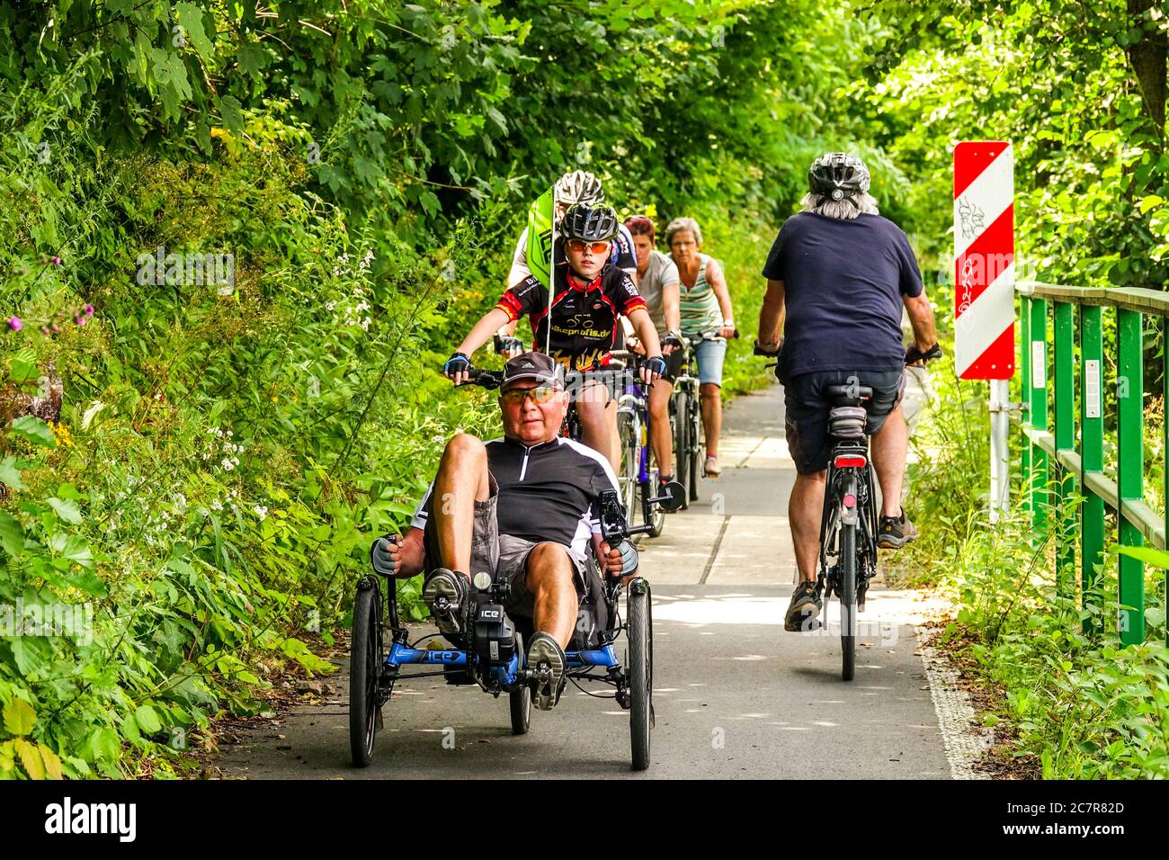 Vacanze in bicicletta Germania Sassonia Elberadweg persone cavalcano in natura sulla pista ciclabile Foto Stock