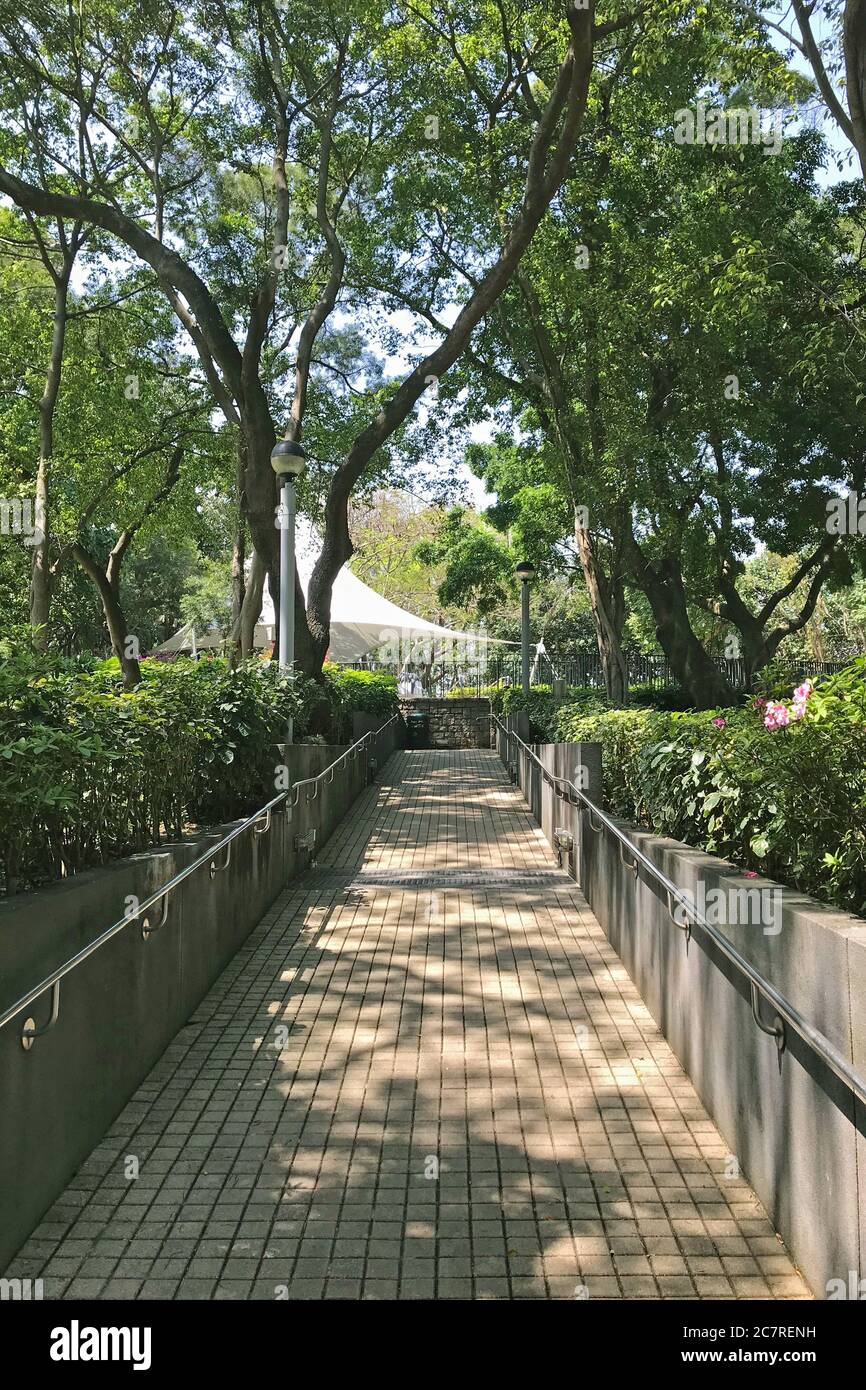 Il sentiero esterno, recinto maniglia, piante verdi e alberi nel parco Foto Stock