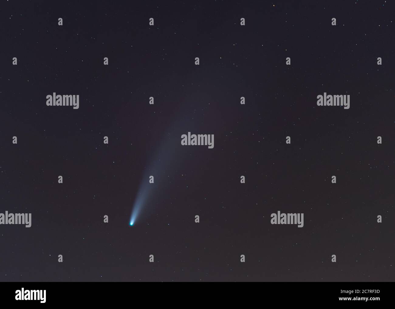 Cometa Neoswise nel cielo notturno Foto Stock