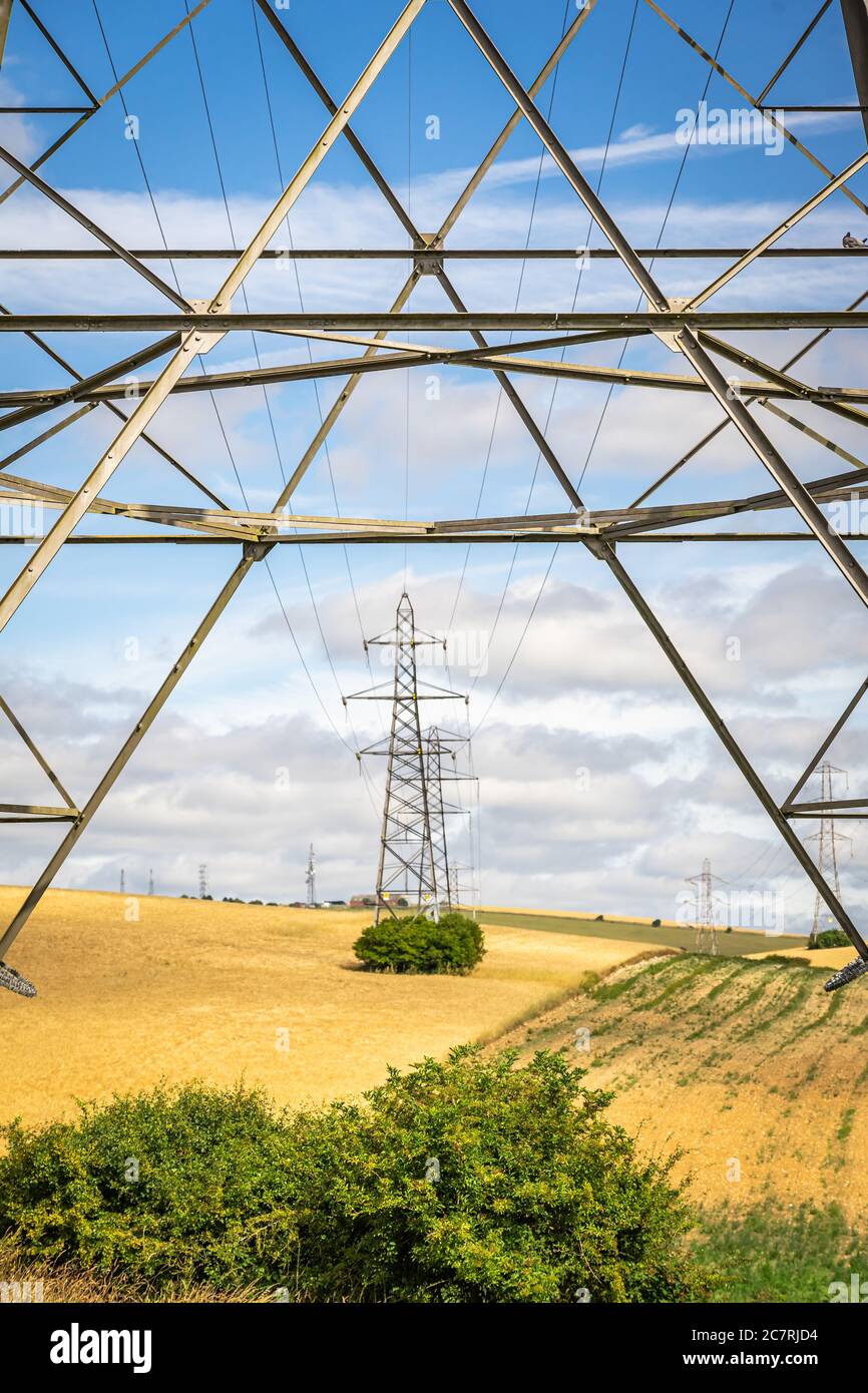 Pylons elettrici che attraversano terreni agricoli Foto Stock
