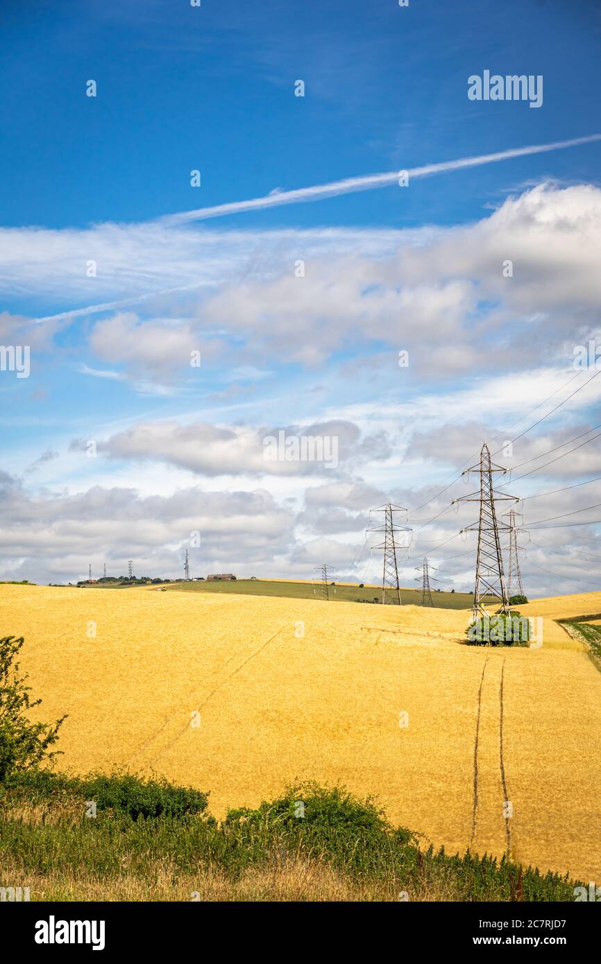 Pylons elettrici che attraversano terreni agricoli Foto Stock