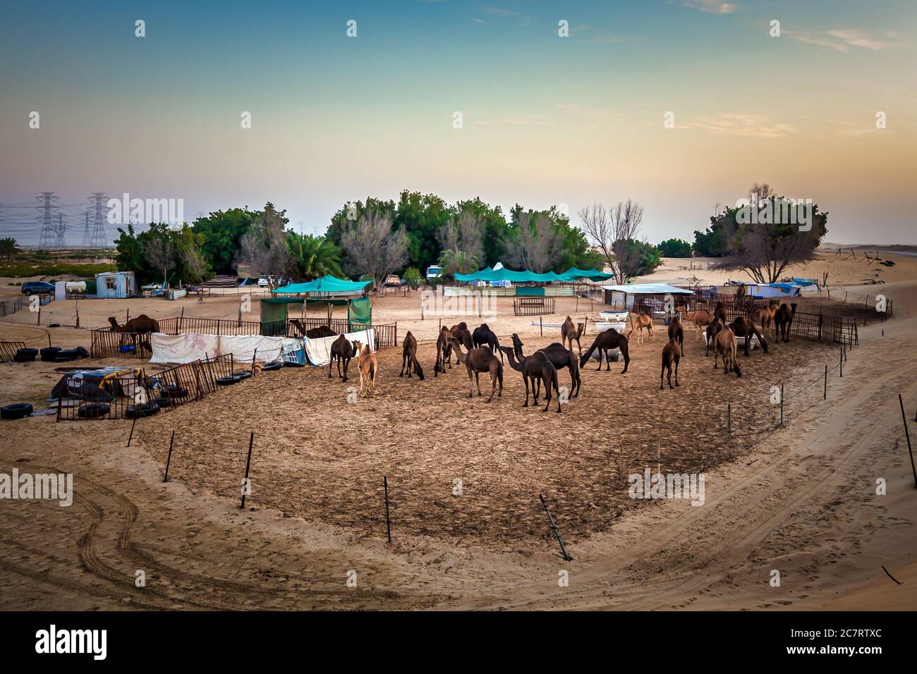 Splendida vista sul deserto in al Hofuf Arabia Saudita. Foto Stock