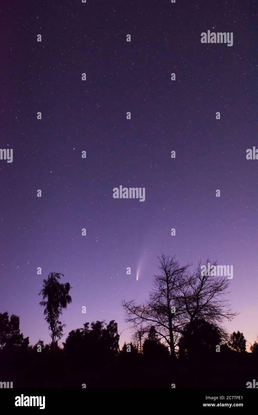 Cometa 2020 Neoswise visto da Stedham e Iping Common, Sussex, UK, luglio Foto Stock