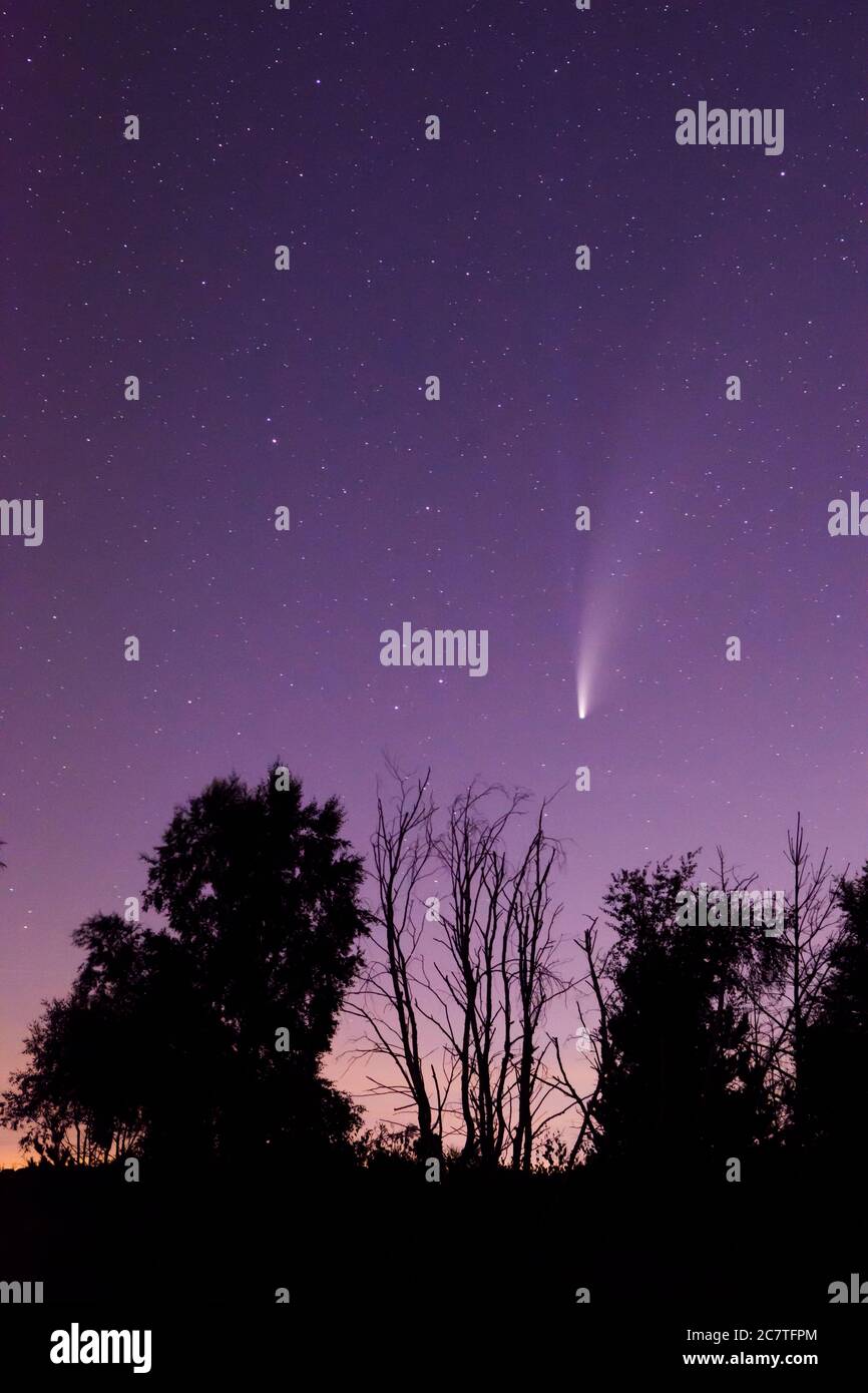 Cometa 2020 Neoswise visto da Stedham e Iping Common, Sussex, UK, luglio Foto Stock