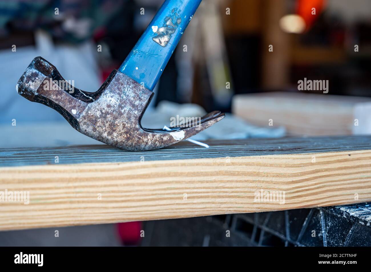 Utensile da carpentiere industriale di un martello aggrimigliato utilizzato come leva per rimuovere un chiodo piegato da una tavola Foto Stock