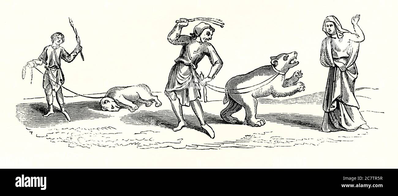 Una vecchia incisione che mostra due uomini e una donna con i loro orsi prigionieri durante il Medioevo. Gli orsi erano uno degli animali più popolari di questo periodo. Catturato quando i giovani (o nati e allevati in cattività) addestramento degli orsi spesso implicava crudeltà animale. Un uomo in questa illustrazione sta usando una frusta. Gli orsi erano una popolare fonte di intrattenimento per le strade o le taverne nel Medioevo e nel Rinascimento. Spesso erano addestrati a 'dance' sulle loro gambe posteriori. Foto Stock