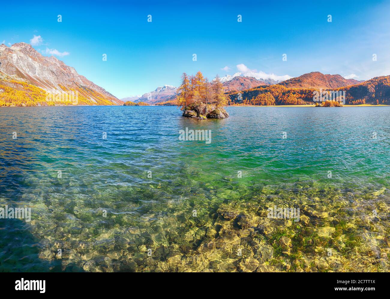 Fantastiche vedute autunnali del Lago Sils (Silsersee) con piccole isole. Colorata scena autunnale delle Alpi svizzere. Località: Maloya, Engadina, Grigioni ca Foto Stock