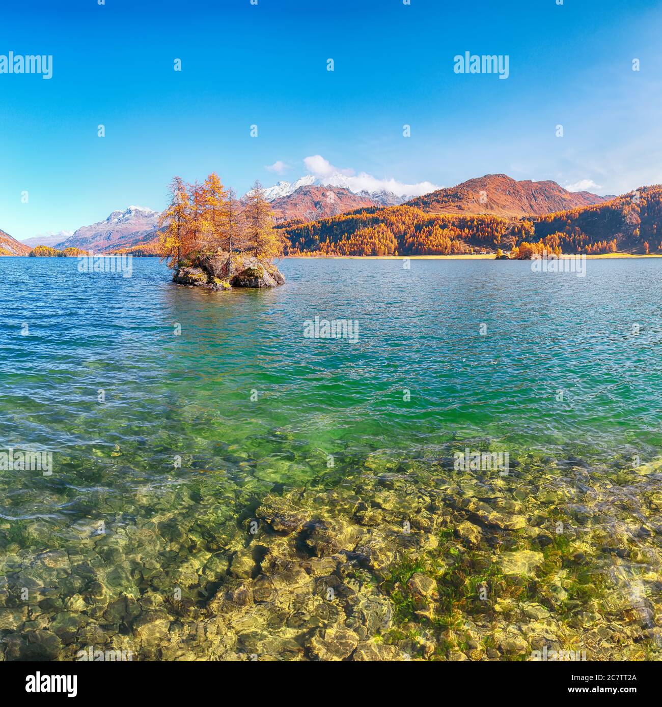 Pittoresca vista autunnale del lago Sils (Silsersee) con piccole isole. Colorata scena autunnale delle Alpi svizzere. Località: Maloya, Engadina, Grigioni Foto Stock