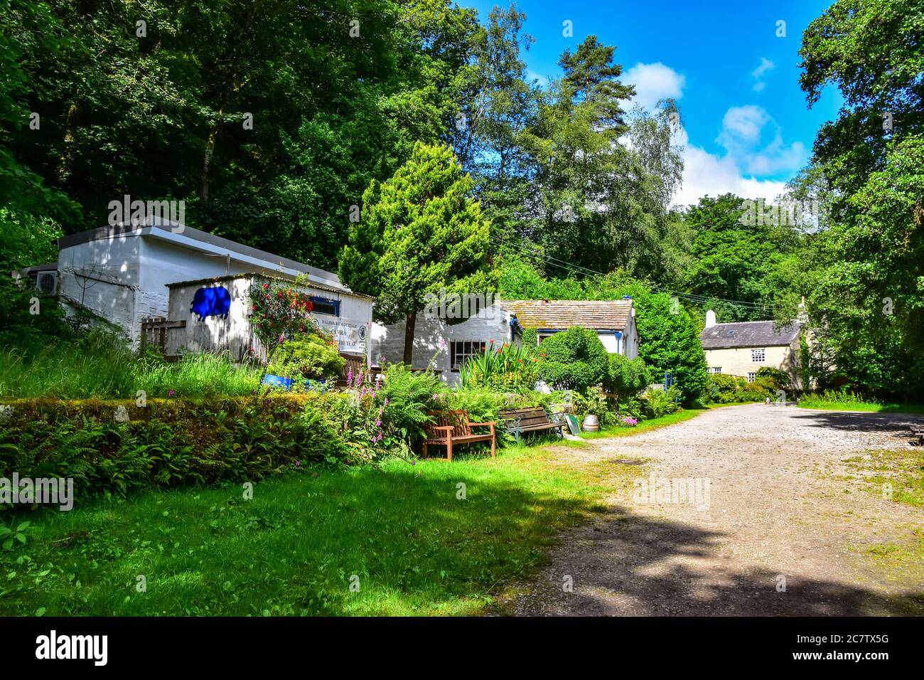 Blue Pig, Midgehole Working Mens Club, Hebden Bridge, Pennines, Yorkshire Foto Stock