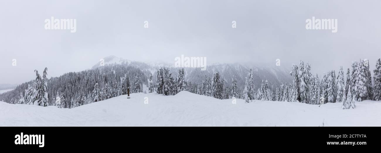 Vista panoramica del paesaggio montano canadese coperto di neve bianca Foto Stock