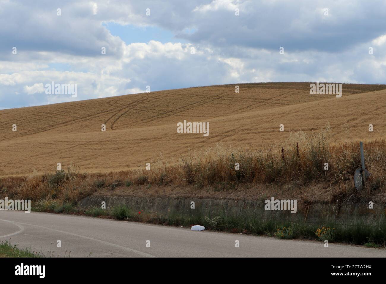 Risce nei campi coltivati Foto Stock