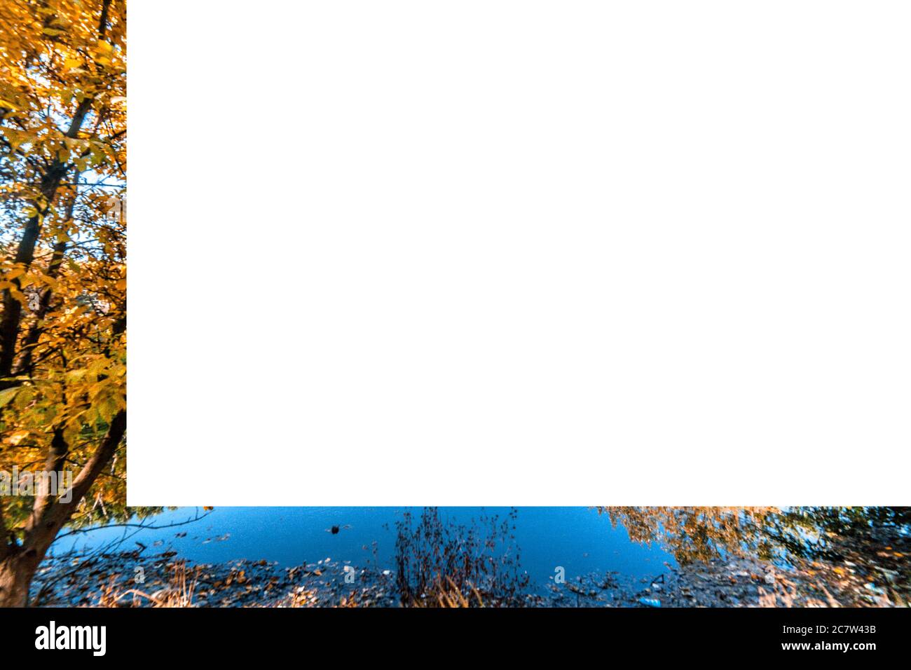 Confine di diverse foglie di autunno, sfondo tema di autunno Foto Stock