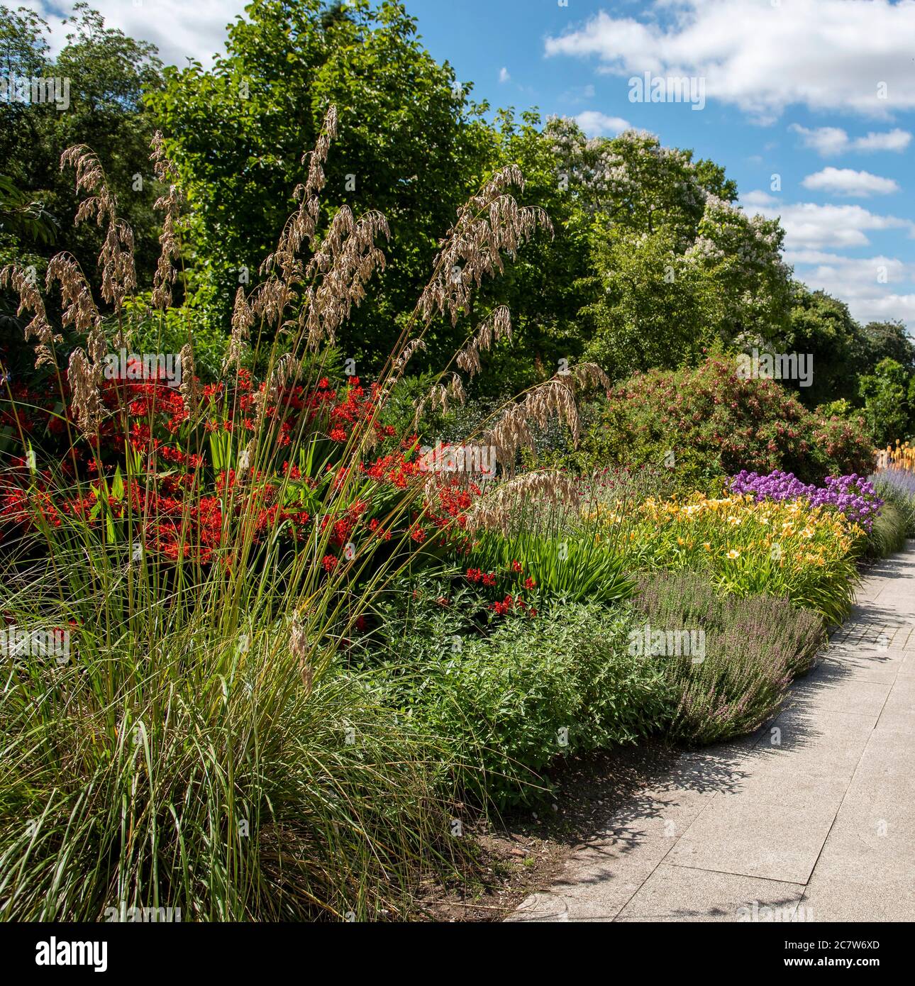 Hampshire, Inghilterra, Regno Unito,. 2020. Confine di Herbacous di piante miste fiorite in un giardino di campagna inglese. Foto Stock